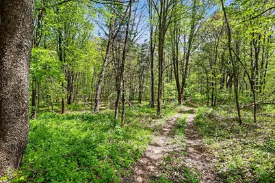 N Uldriks Road, Battle Creek, MI 49017 - Photo 7