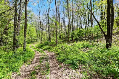 N Uldriks Road, Battle Creek, MI 49017 - Photo 5