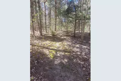 9479 Glovers Lake Road, Bear Lake, MI 49614 - Photo 9