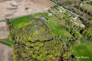 9872 N Amble Rd, Howard City, MI 49329 - Photo 49