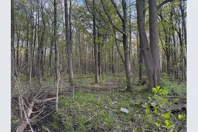 6034 136th Avenue, Saugatuck, MI 49453 - Photo 5
