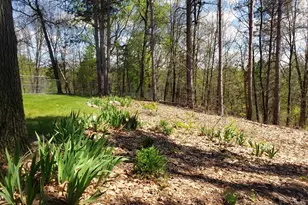1700 Hamilton Rd, Battle Creek, MI 49017 - Photo 11
