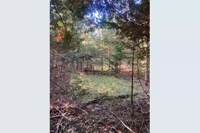9165 Afton Road, Afton, MI 49705 - Photo 3
