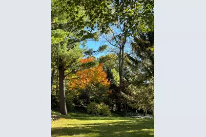 445 Huntington Drive, Ann Arbor, MI 48104 - Photo 87