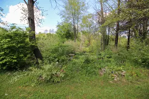 12425 M-60, Jones, MI 49061 - Photo 33