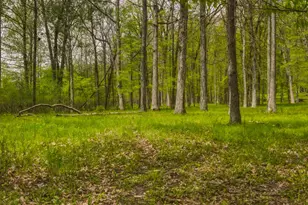 7051 Bowerman Rd, Horton, MI 49246 - Photo 81