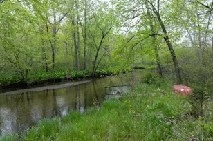 7051 Bowerman Rd, Horton, MI 49246 - Photo 63