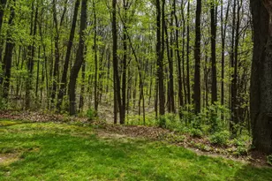 7051 Bowerman Rd, Horton, MI 49246 - Photo 79