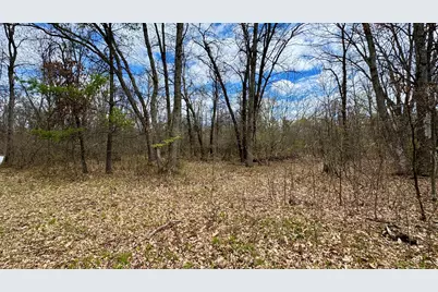 1496 17 Mile Road, Marion, MI 49665 - Photo 11