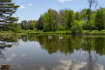 4359 Springbrook Lane, Jackson, MI 49201 - Photo 7