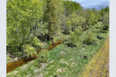 V/L Lot 2 W Peet Road, Bannister, MI 48807 - Photo 7