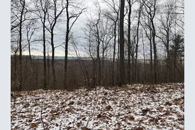 Lot B Silver Vista, Mears, MI 49436 - Photo 19