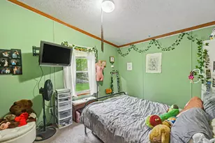 10952 Frost Rd, Portland, MI 48875 - Photo 11
