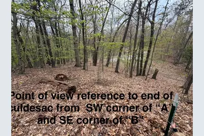 Lot A Silver Vista, Mears, MI 49436 - Photo 9