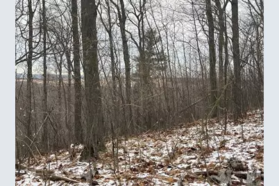 Lot A Silver Vista, Mears, MI 49436 - Photo 21