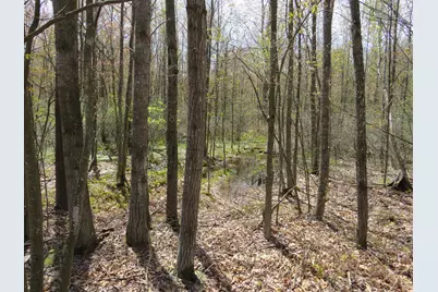 N Chippewa Road, Mount Pleasant, MI 48858 - Photo 3