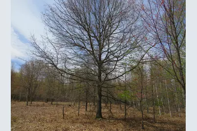 N Chippewa Road, Mount Pleasant, MI 48858 - Photo 5