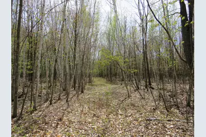 N Chippewa Road, Mount Pleasant, MI 48858 - Photo 11