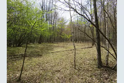 N Chippewa Road, Mount Pleasant, MI 48858 - Photo 13