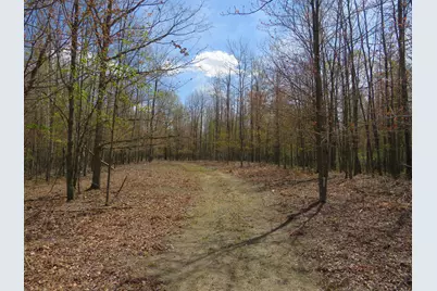 N Chippewa Road, Mount Pleasant, MI 48858 - Photo 1