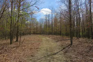 N Chippewa Rd, Mount Pleasant, MI 48858 - Photo 1