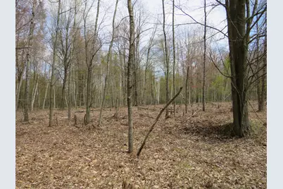 N Chippewa Road, Mount Pleasant, MI 48858 - Photo 17