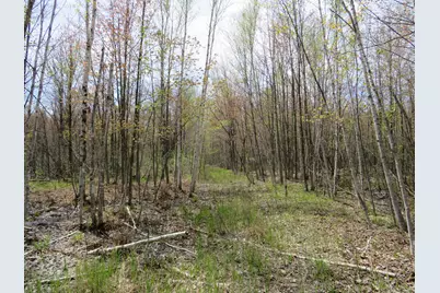 N Chippewa Road, Mount Pleasant, MI 48858 - Photo 7