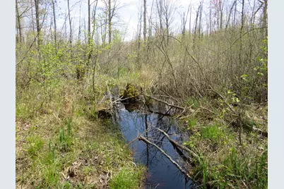 N Chippewa Road, Mount Pleasant, MI 48858 - Photo 9