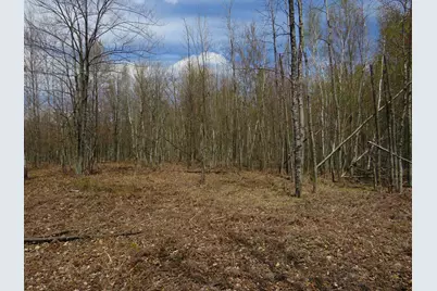 N Chippewa Road, Mount Pleasant, MI 48858 - Photo 15