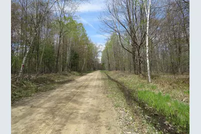 N Chippewa Road, Mount Pleasant, MI 48858 - Photo 21