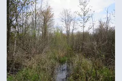 N Chippewa Road, Mount Pleasant, MI 48858 - Photo 19