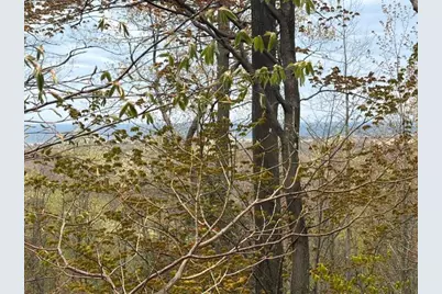 Lot C Silver Vista, Mears, MI 49436 - Photo 27