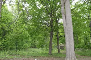 1225 102nd Ave, Plainwell, MI 49080 - Photo 35