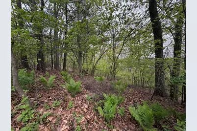 3114 Red Oak Drive #Lot 9, Saugatuck, MI 49453 - Photo 3