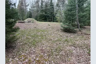 0 US 131, Kalkaska, MI 49646 - Photo 13