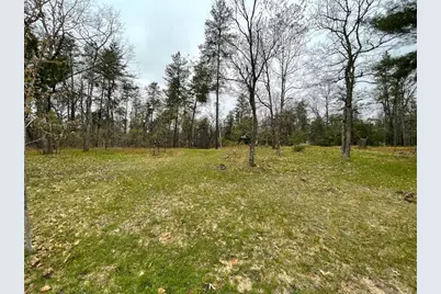 3490 W Stuck Road, Irons, MI 49644 - Photo 39
