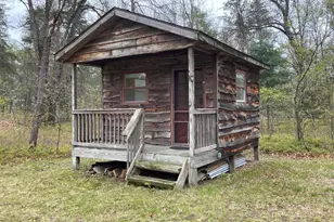 3490 W Stuck Rd, Irons, MI 49644 - Photo 31