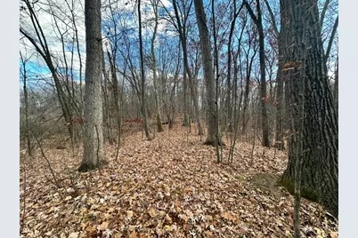 Oak Vacant Lots, Pinckney, MI 48169 - Photo 7