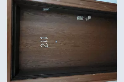 2915 John R Street #211, Detroit, MI 48201 - Photo 3