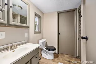 153 Baldwin St, Lyons, MI 48851 - Photo 17