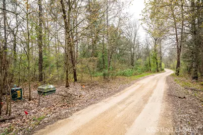936 E Forest View, White Cloud, MI 49349 - Photo 35