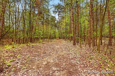 11888 Long Lake Drive NW, Sparta, MI 49345 - Photo 39