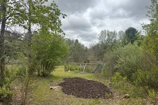 53663 Baseline Rd, Grand Junction, MI 49056 - Photo 11