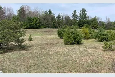 00 Mackinaw Trail, Leroy, MI 49655 - Photo 19