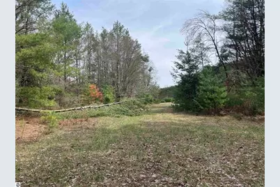 00 Mackinaw Trail, Leroy, MI 49655 - Photo 25