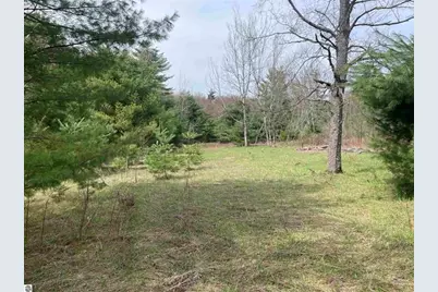 00 Mackinaw Trail, Leroy, MI 49655 - Photo 7