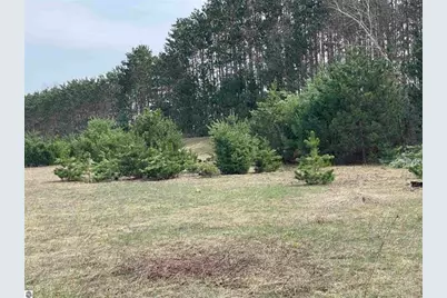 00 Mackinaw Trail, Leroy, MI 49655 - Photo 23