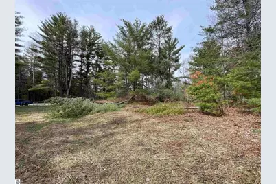 00 Mackinaw Trail, Leroy, MI 49655 - Photo 3
