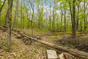 8470 Merrill Rd, Whitmore Lake, MI 48189 - Photo 51