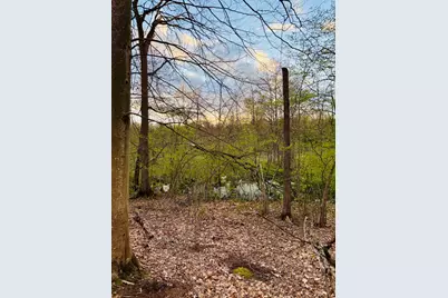 1661 N Centerline Road, White Cloud, MI 49349 - Photo 43